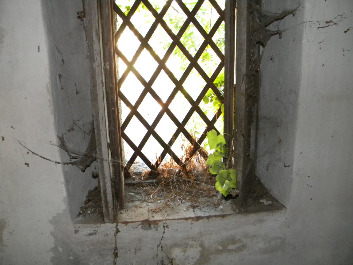 DSCN8010 .JPG